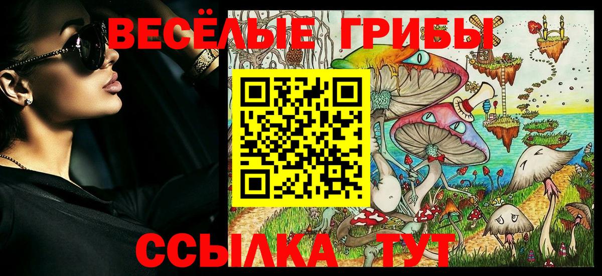 Псилоцибиновые грибы мицелий Знаменск