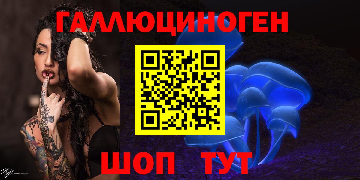 Знаменск  Галлюциногенные грибы Psilocybe  Вход с VPN 